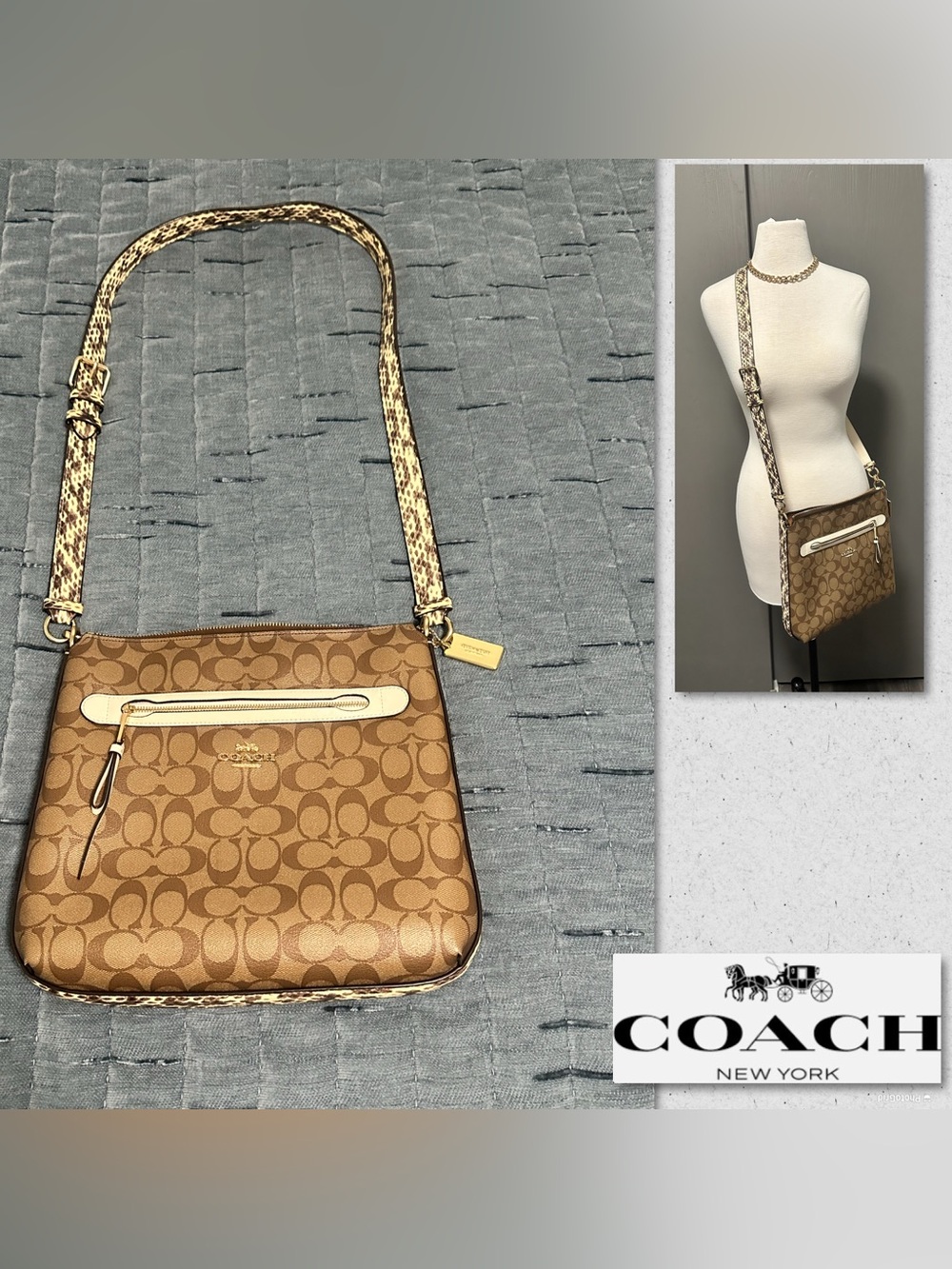 Coach Mae File Signature Crossbody Purse with Snakeskin Trim
